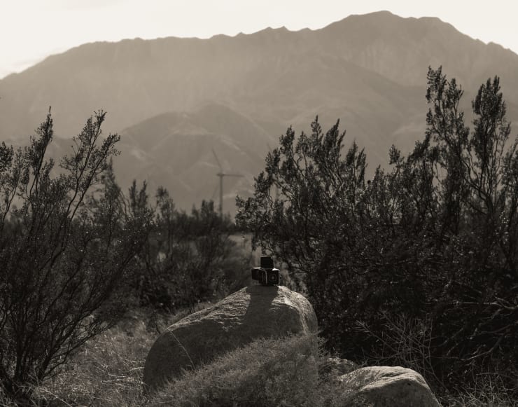 Ruben van Schalm, Homage Erwin Olaf