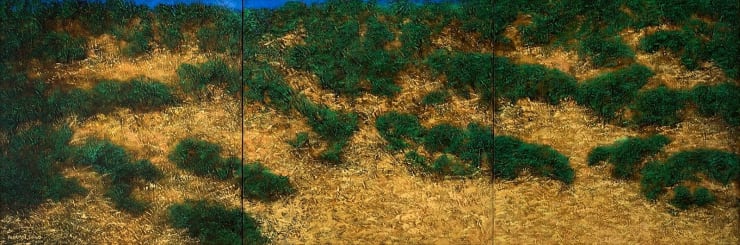 Paramjit Singh Untitled (Triptych), 2014 Oil on Canvas 36" x 108"