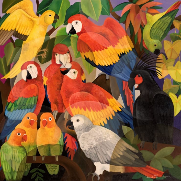 Senaka Senanayake Macaws, 2015 Oil on Canvas 48" x 48"