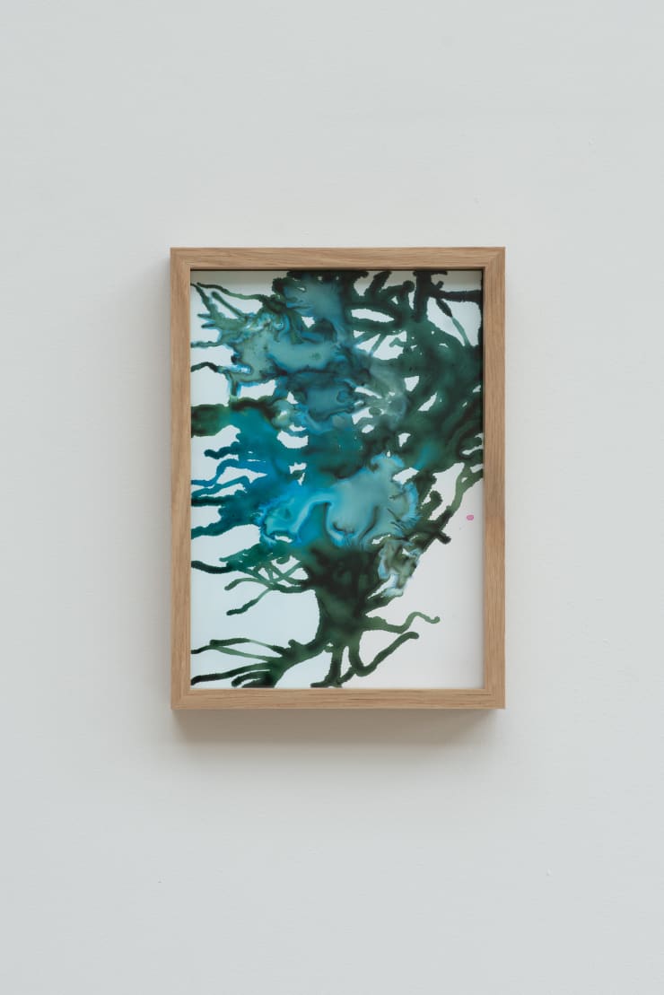 Sophie Hing Yee Cheung CMYK Painting: Crystal, Tree and Human Nerves, 2024 Inkjet printer ink on paper 21 x 14.8 cm 22.5 x 16.3 cm framed