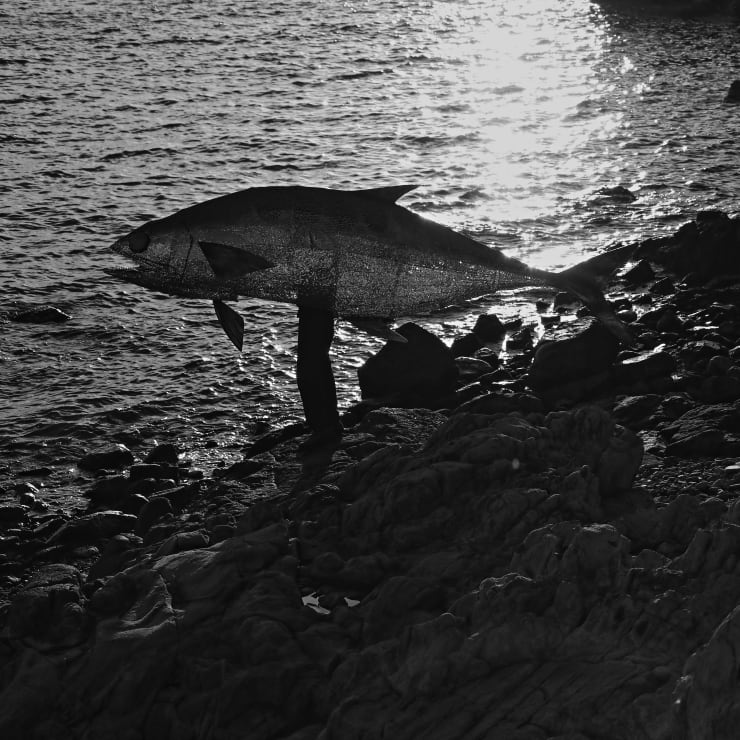 Kacey Wong, The Quarantine, 2020