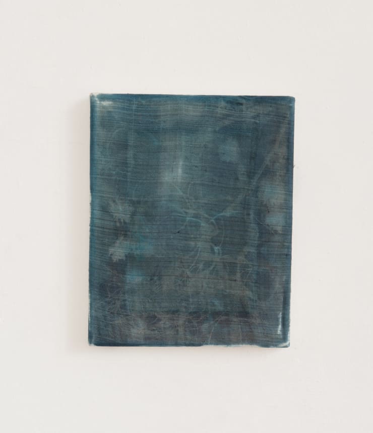 Olga Grotova Worm Nest, 2023 Cyanotype on hand-made silk 25.5 x 20.5 cm