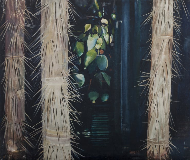 Sepp Baendereck, Palmeiras Jauari, 1984