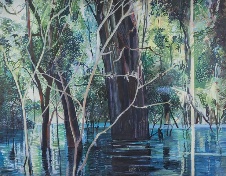 Sepp Baendereck, Paisagem no Ituxi, 1984