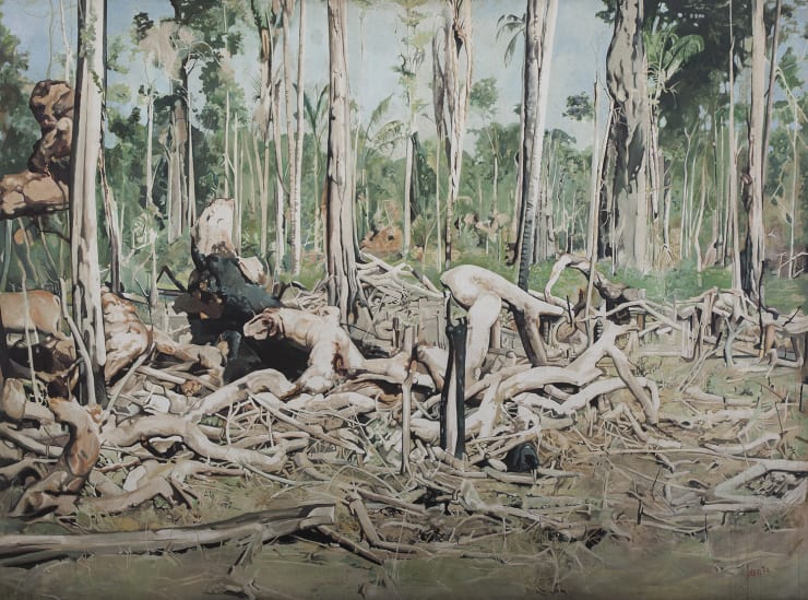 Sepp Baendereck, Na Transamazônica, entre Marabá e Altamira, 1977