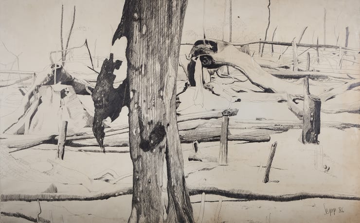 Sepp Baendereck, Mato Grosso, 1986