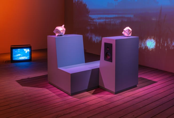 Sasha Wortzel, Dreams of Unknown Islands, 2022