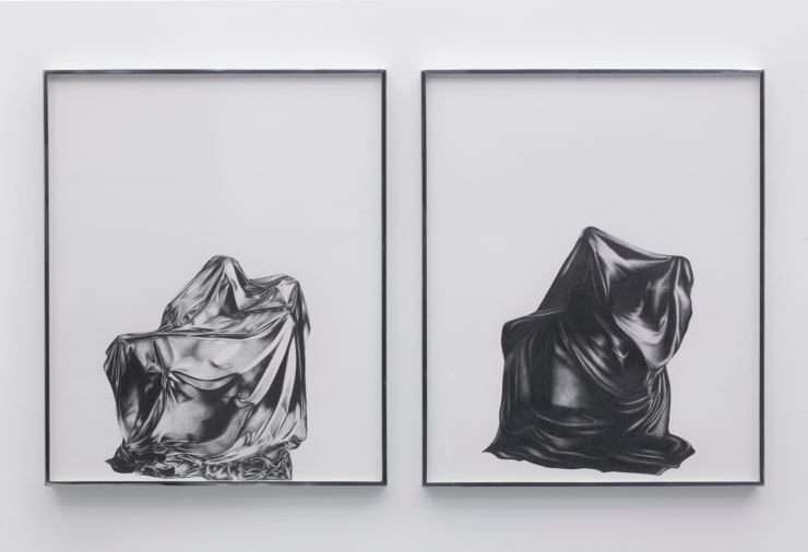 Yuval Pudik, Domesticity 1 & 2