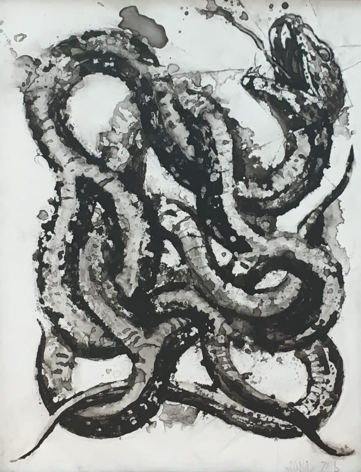 Jonas Fahnestock, Snake, 2016