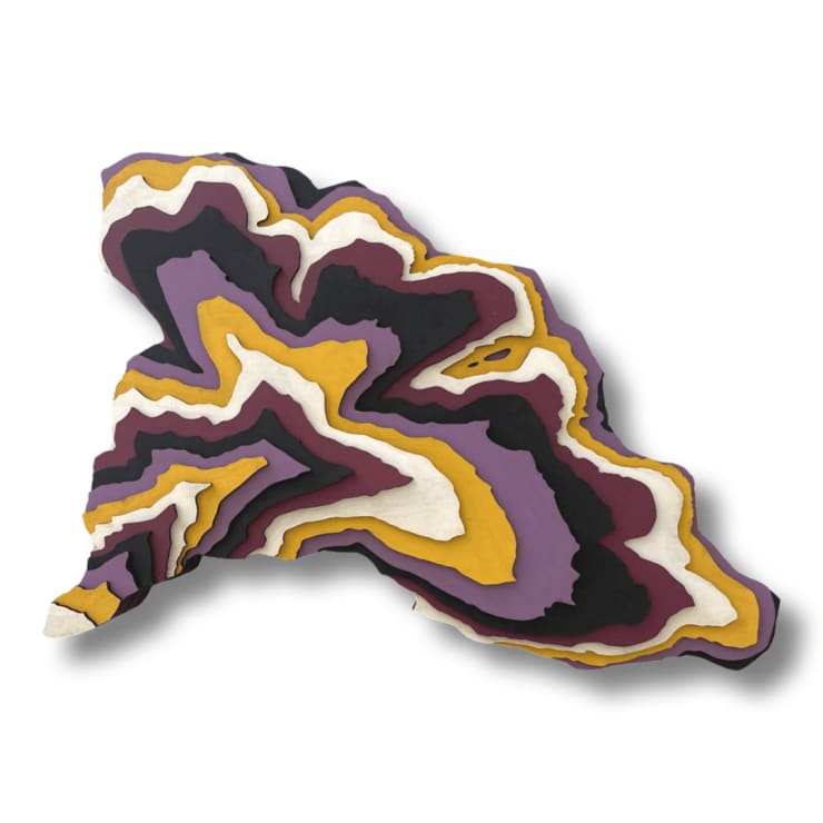 Christopher Warren, Marshall Creek Watershed (Inverted), 2023