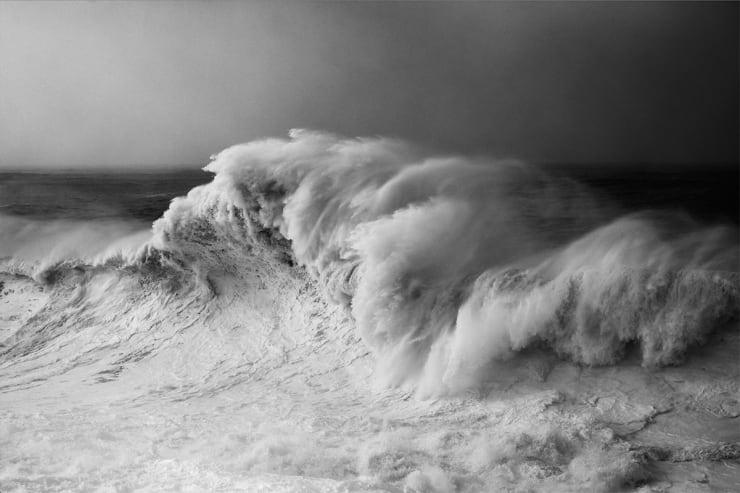Alessandro Puccinelli, Mare 411, 2019