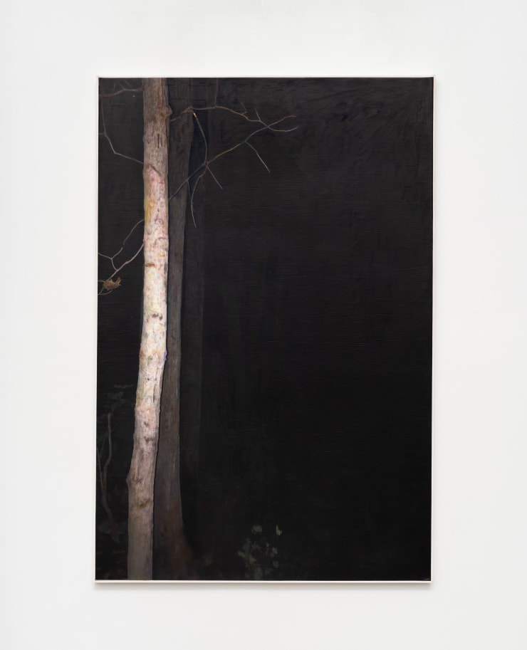 Ben Quinn, Deep Hollow, 2020