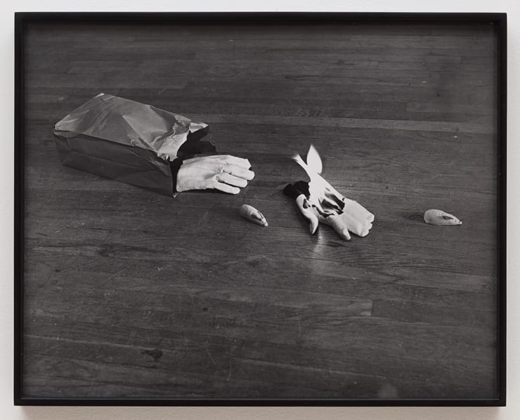William Leavitt, Random Selection: Bag, Glove, Fire, Mice,, 1969