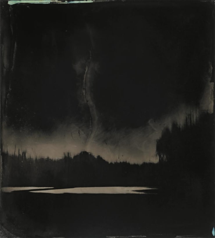 Sally Mann, Blackwater 9, 2008-2012