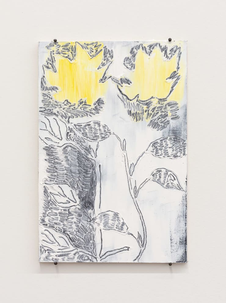 August Ward, Flowers, 2023