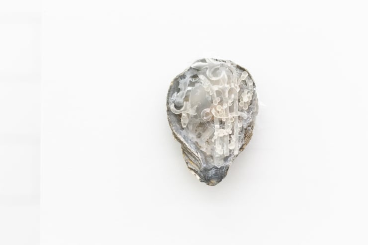 Joshua Petherick Ear w. Tinnitus, 2015 Polyurethane resin, seashell, rare earth magnet 12 x 8 cm
