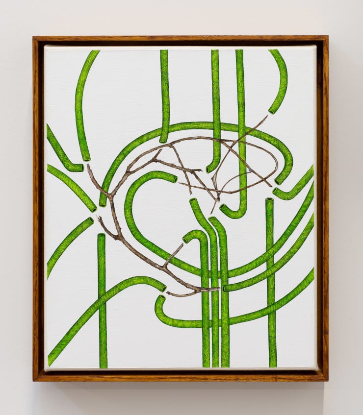 Zina Swanson Hopeless Hydration (Delicate Twig), 2023 Acrylic on canvas in artist's frame 30 x 25.5cm