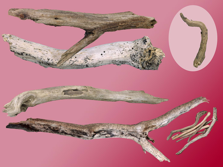 Yvonne Todd Vol-Ron, 2004 C-type print 108 x 88.5 cm edition 3 of 3