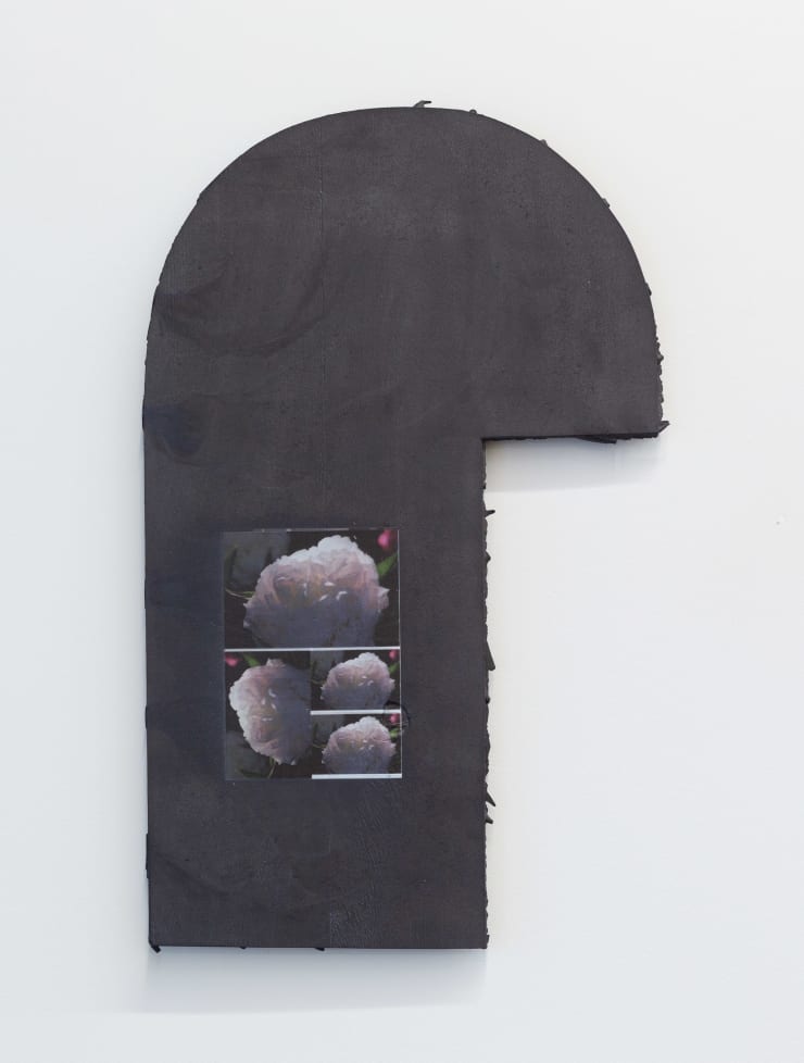Martyn Reynolds Black Hammer Peony Testsheet Colour, 2023 Anodised cast aluminium, UV print 48 x 30 cm