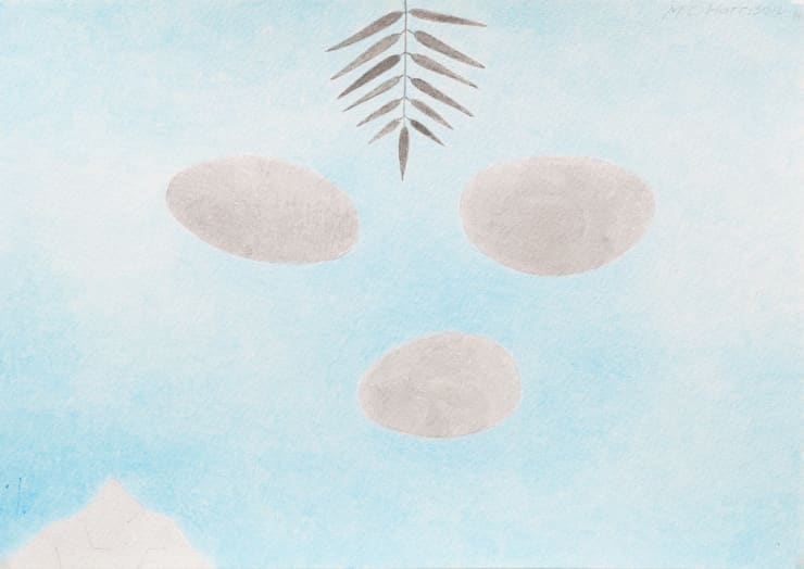 Michael Harrison Fringe, 2006 - 2014 acrylic and pencil on paper 21 x 29.7 cm