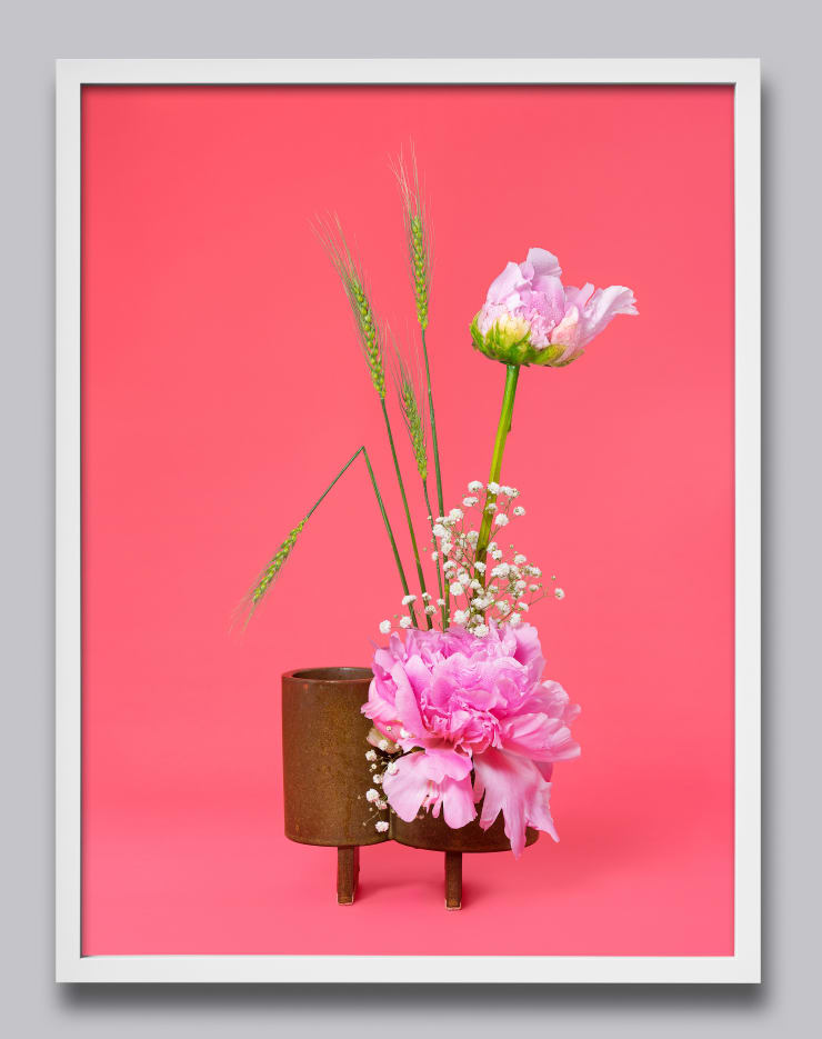 Ann Shelton The Party Girl, Peony (Paeonia sp.), 2020 pigment print 112 x 84 cm print size, 117 X 89 cm framed Edition of 6 plus 2 artist's proofs (Edition record)
