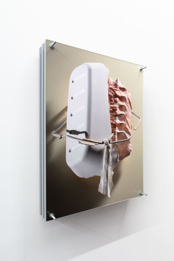 Luke Libera Moore Entropic Totem #4 (Carapace), 2018 Archival pigment print in artists frame, Unique state print 42 x 28 cm