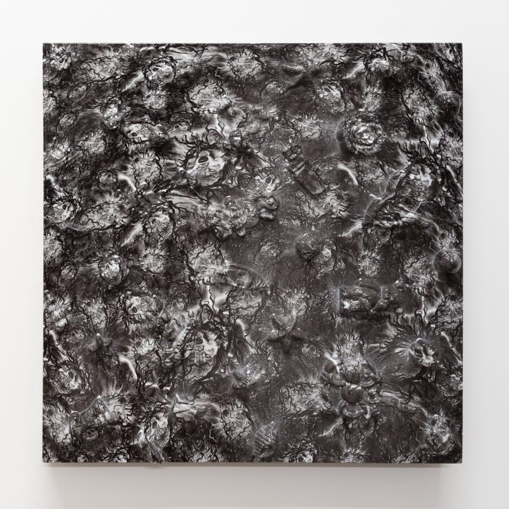 Yolunda Hickman Shells (Wolves), 2019 Polyvinyl alcohol, resin plaster, glue and epoxy on board 50 x 50 cm