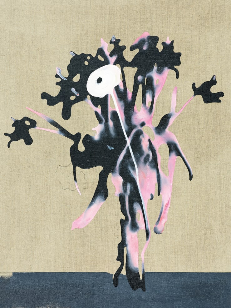 A Dog Is Any Four-Legged Animal of the Genus Canis That Barks