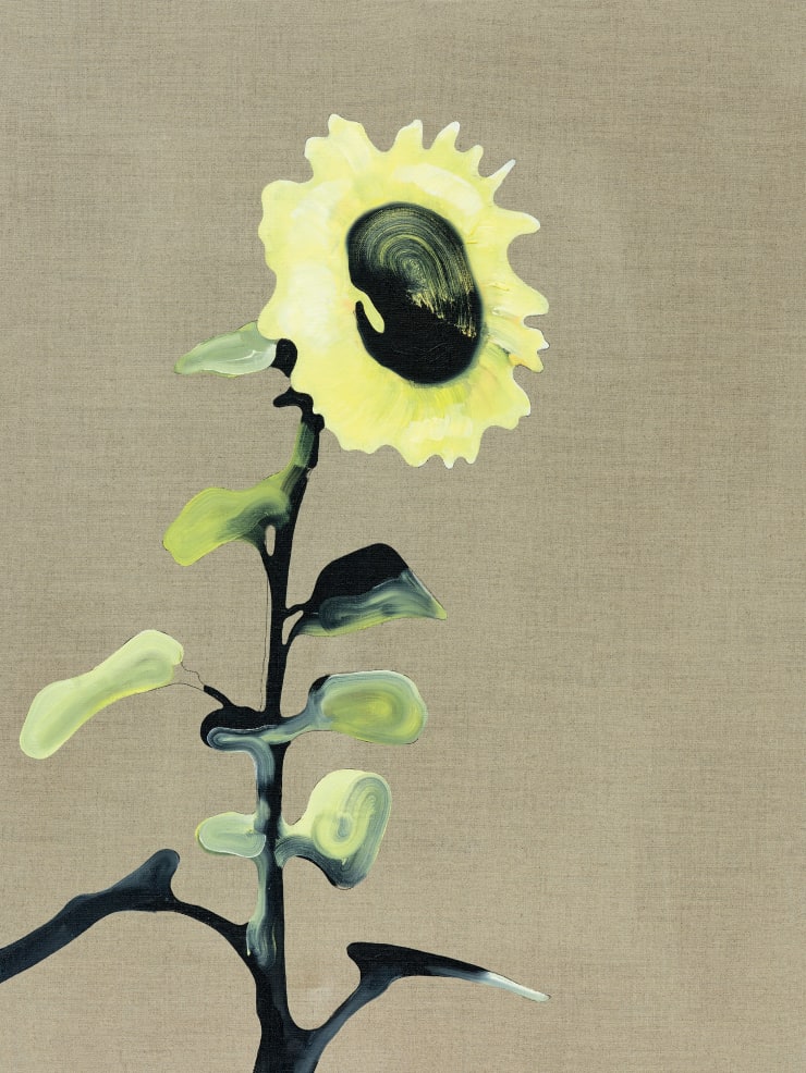 The Certificate of No Objection for the Certification of No Objection Must Be Applied for at the Competent Authority