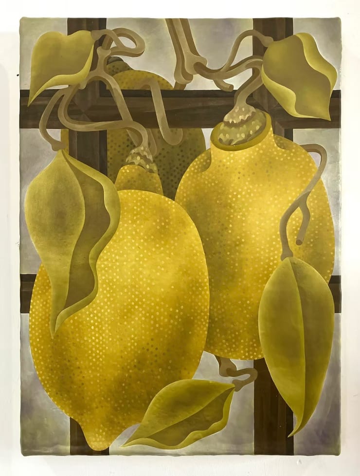 Lily Hargreaves, This is Nothing Romantic, 2025