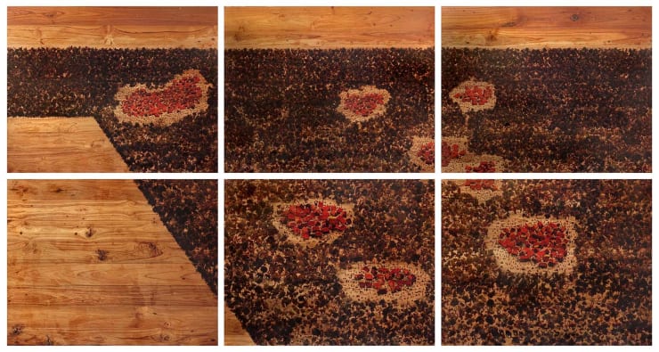 Saju Kunhan, Settlement #2, 2021