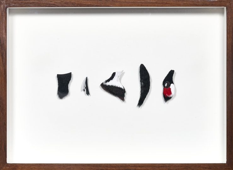 Nibha Sikander, Red Whiskered Bulbul, 1 work with 5 individual paper cut parts of the Red Whiskered Bulbul's head, 2019