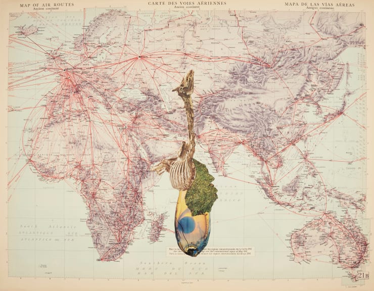 Apnavi Makanji, Appropriation Disinformation - Nature and the Body Politic II, 2019