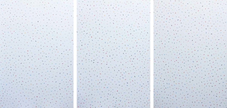 Muzzumil Ruheel, lost in his own words, 2018