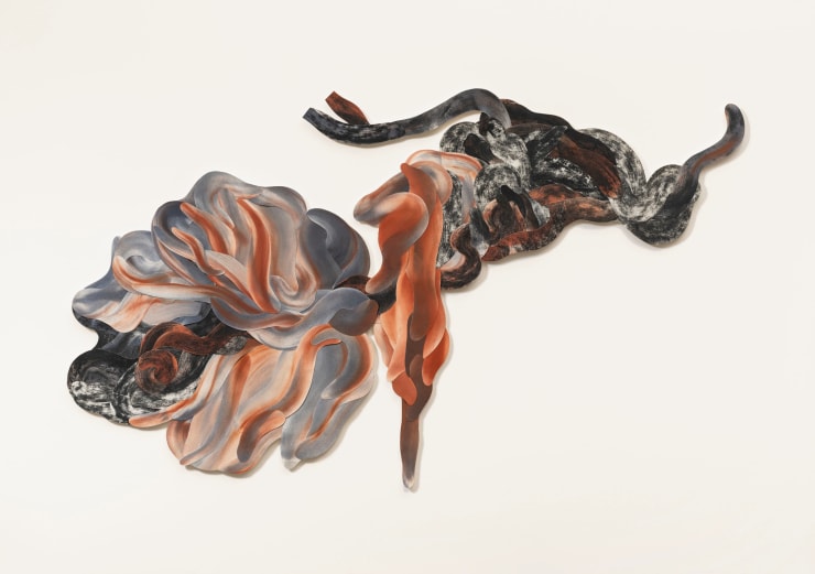 Garima Gupta, Bergenia ciliata, 2025