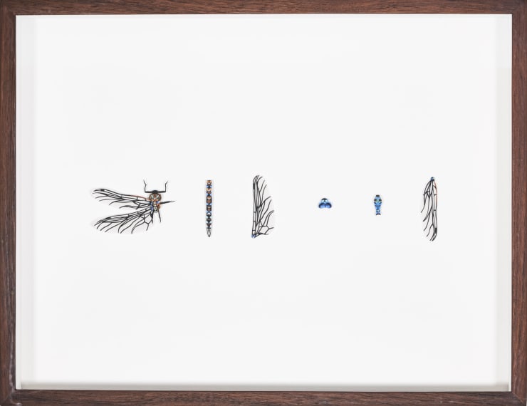 Nibha Sikander, Blue Darner, 1 work with 6 individual paper cut parts of the Blue Darner , 2019