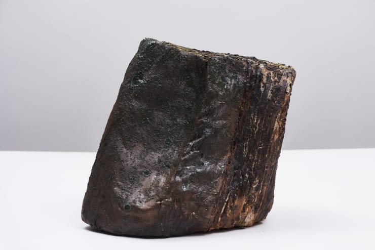 Savia Mahajan, Lithified lives (Resurgō series) 13, 2019