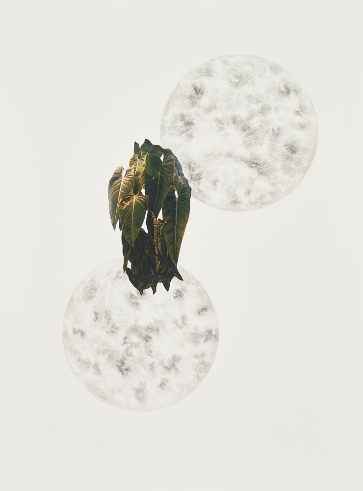 Apnavi Makanji, Liminal, 2022