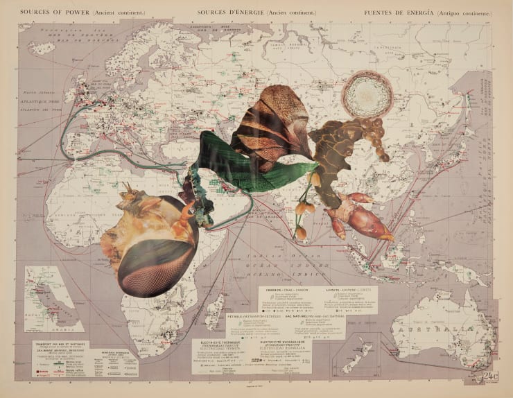 Apnavi Makanji, Appropriation Disinformation - Nature and the Body Politic IV, 2019