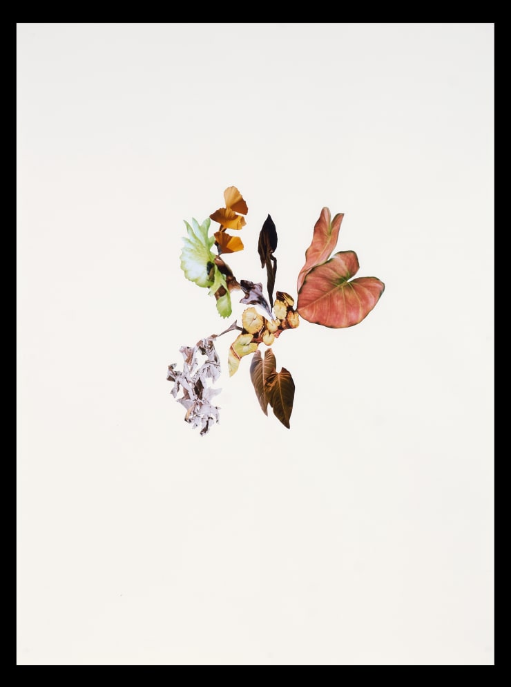 Apnavi Makanji, Untitled - Penumbra series, 2021