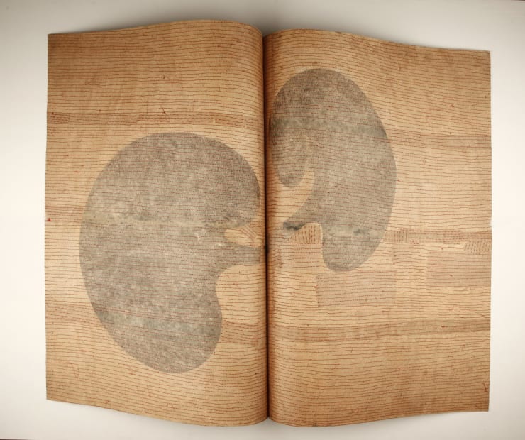 Tanmoy Samanta, Document, 2015