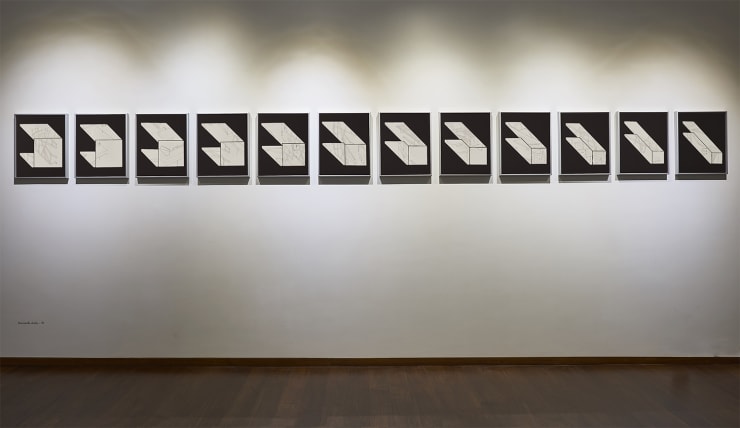 Pratap Morey, Dismantle study - III, 2018