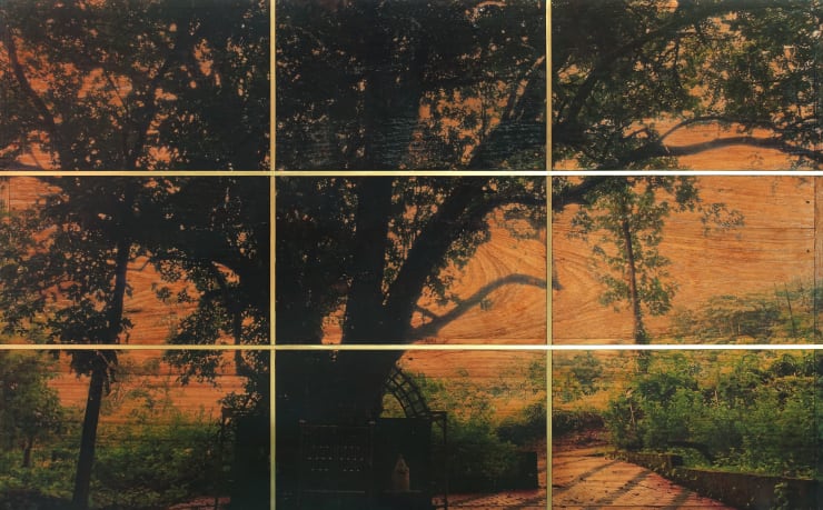 Saju Kunhan, Location History- Abode of Snakes, 2021