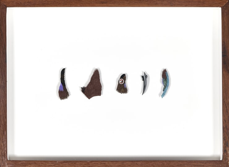 Nibha Sikander, Purple Rumped Sunbird, 1 work with 5 individual paper cut parts of the Purple Rumped Sunbird's head, 2019