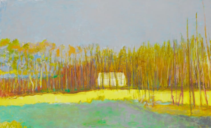 House Across the Meadow, 2013 Oil on canvas 32 x 52 inches Framed dimensions 32 3/4 x 52 3/4 inches