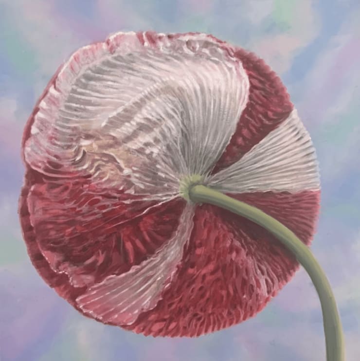 Flemish Poppy, 2022 Acrylic and oil on wood panel 13 x 13 inches