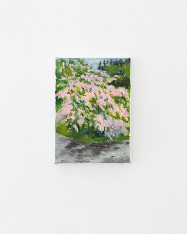 Paradisbusken / Wèi Shi ( Beauty Bush), 2022 Oil on linen 8 5/8 x 6 1/4 inches