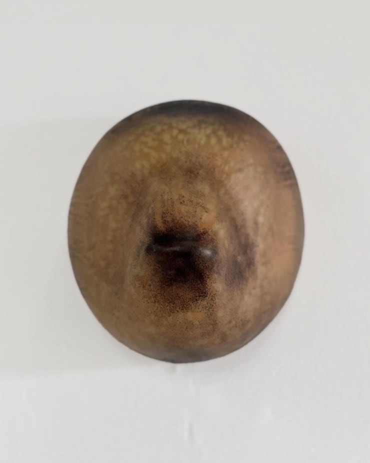 Jane Rosen, Honey Bear, 1999-2024