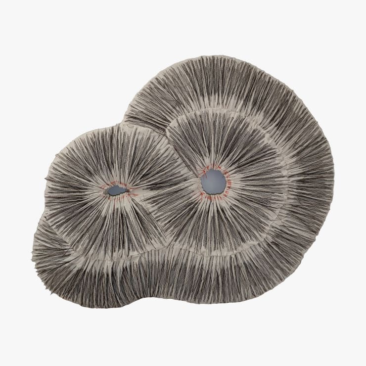 Marianne Kemp, Sentiers Doux, 2022