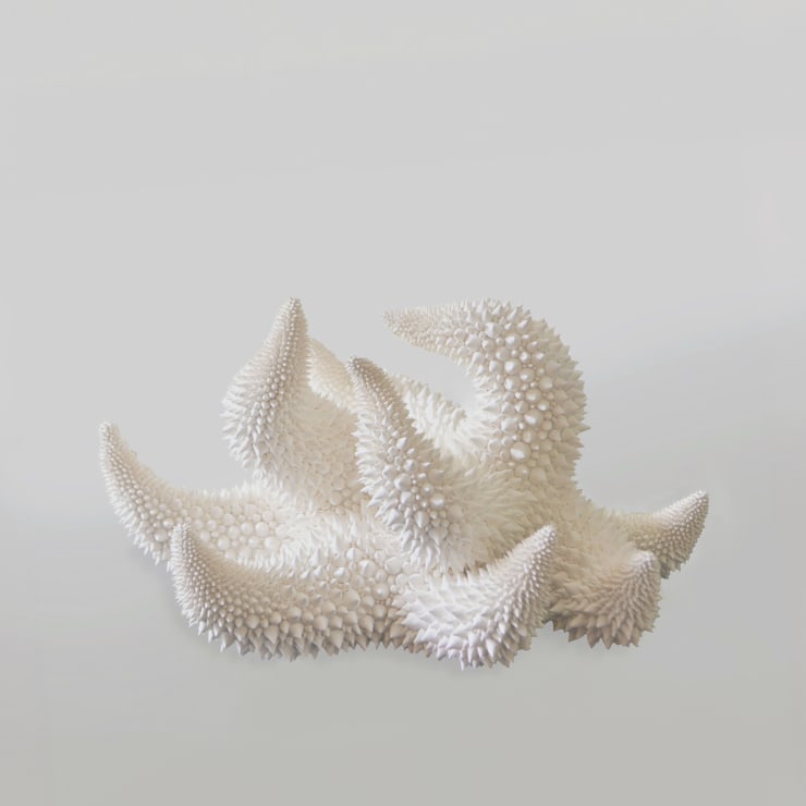 Extinct, 2019 Terracotta 8 1/2 x 14 x 15 inches